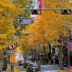 TOUR HÀ NỘI – SEOUL – NAMI – LOTTE WORLD 5N5D