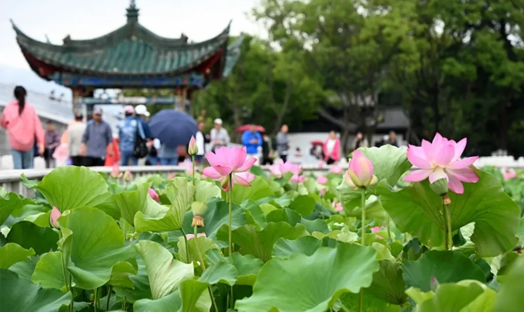 Hà Nội – Đại Lý – Côn Minh – Đại Quan Lầu
