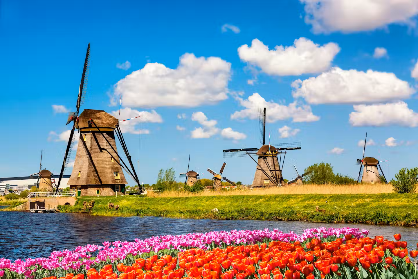 Tour Hà Lan