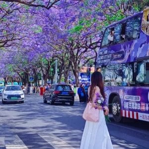 HÀ NỘI – CÔN MINH MONO – HÀ NỘI